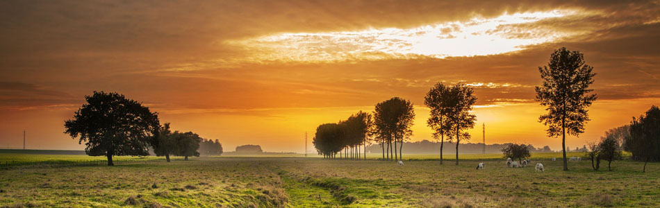 求个一手货源的ddos服务器攻击手段